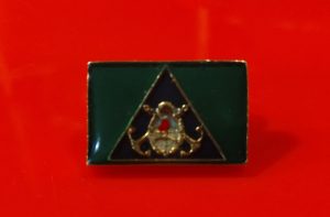 PINS metalico (Inteligencia)