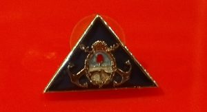 PINS metalico (Inteligencia) triangular